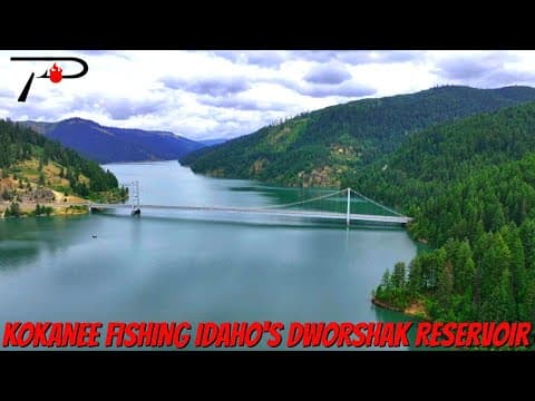 How can I catch kokanee in Dworshak Reservoir?