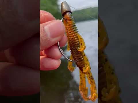 What is the best rod for Texas rigging in shallow grass?