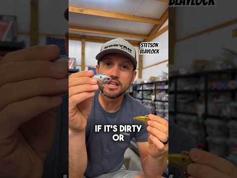 When should I use a lipless crankbait instead of a chatterbait?