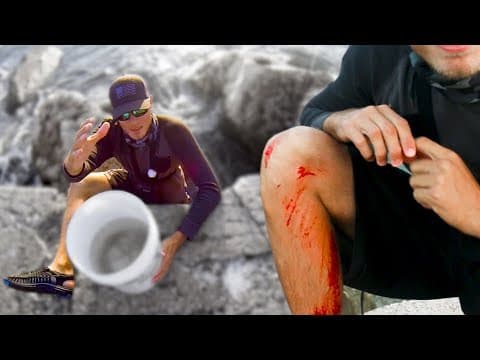 What is the worst bait for shark fishing?