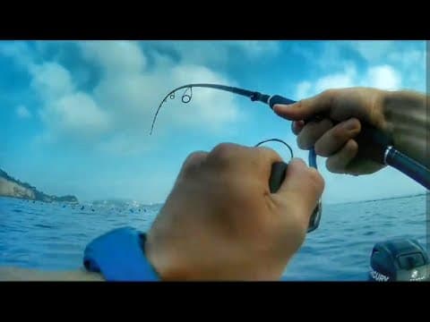 Is shore jigging effective around Napoli?