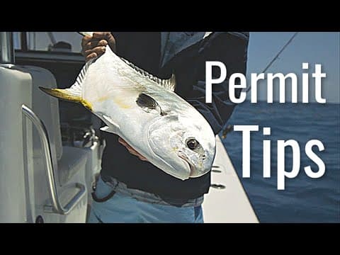 What are the best rigs for permit from piers?