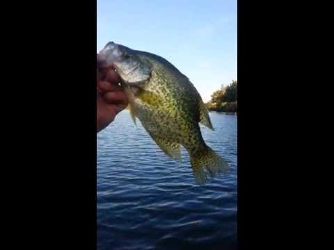 Where can I fish for crappie in Philadelphia?