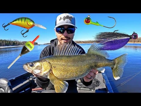 What is the best bait for walleye fishing in late spring?