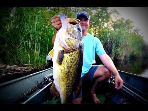 How do I catch bigger bass?