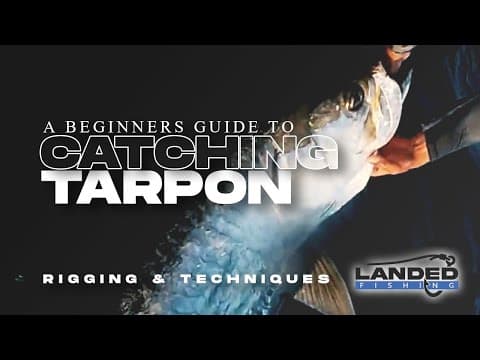 What should I use to catch canal tarpon, from rod to lures, bait, and line?