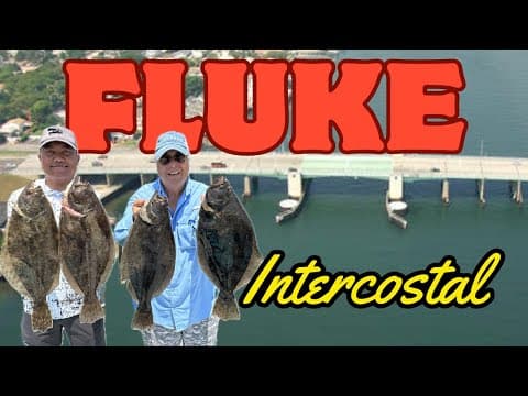What bait should I use for flounder/fluke on Long Island?