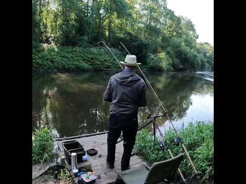 How can I effectively fly fish for barbel and chub?