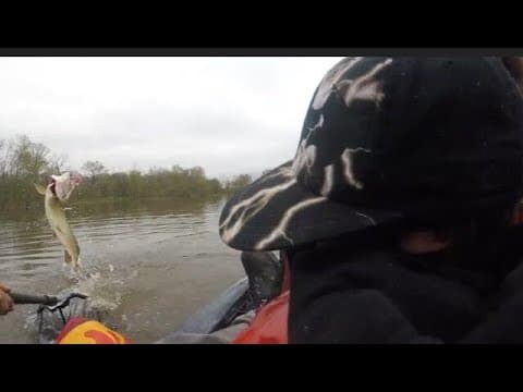 What is the best Muskie lure for Busse Woods?