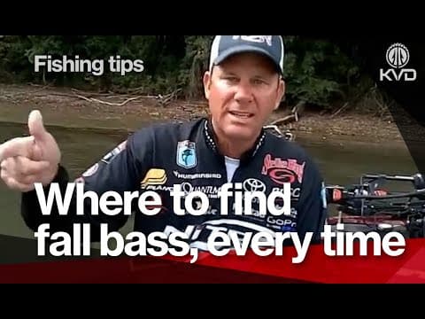 Where to find bass in the fall on the James River?