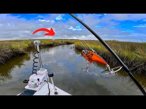 Where is the best place to fish for red drum?