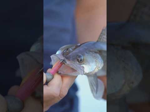 What are the best fishing spots in Fresno?