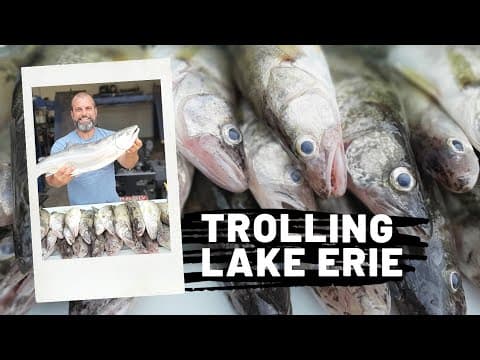 What are the best fishing spots near Leamington, Ontario?