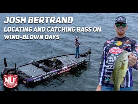 What is the best bass technique to use on an ultra windy spring day?