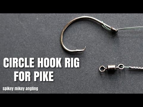 When live baiting for pike with a 30 gram float, what weight lead should I use?
