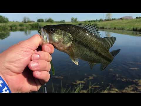 Does a drop shot setup work well through weeds and algae in Texas?