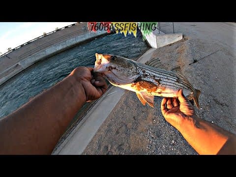 What are some good fishing spots in the Imperial Valley?