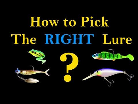 What on a lure catches fish?