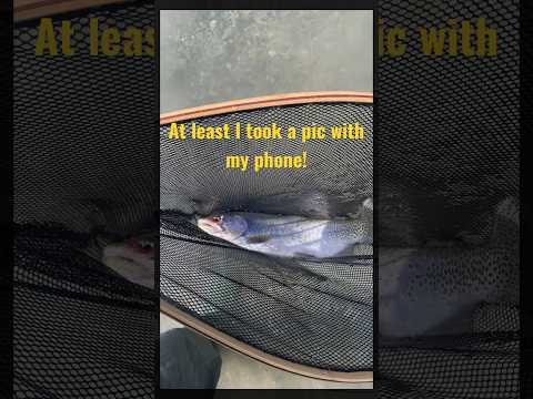 Is there a best single size and color for a Rainbow Warrior Nymph on the Kenai River in August?