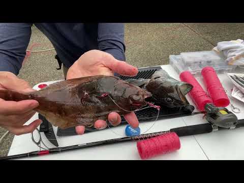 Do I need an extravagant fishing setup to catch fish in Puget Sound?