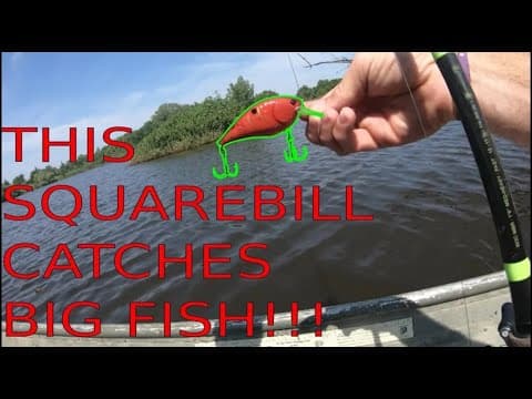 How can I fish effectively with a large bill crankbait from Bass Pro Shops?