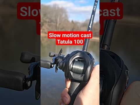 Best Daiwa reel for bass fishing?