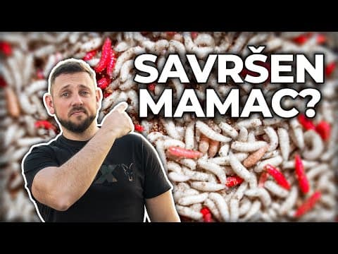 What are the best baits for carp fishing?