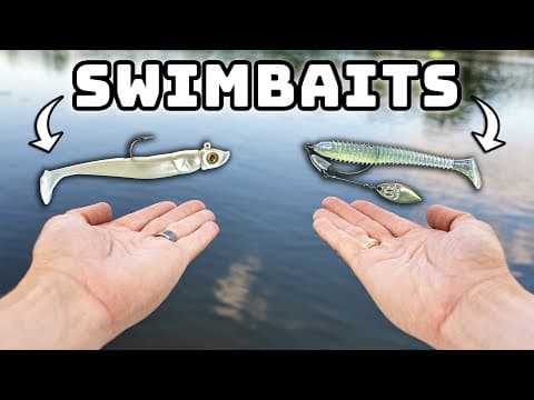 Best season to learn swimbait fishing?