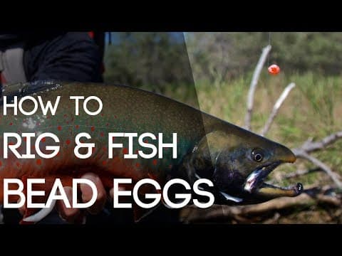 What are the best flies to use, including size and color, when Kenai rainbow trout are striking on nymphs?
