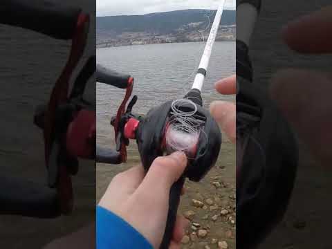 How much weight can the Chinese bait caster hold?