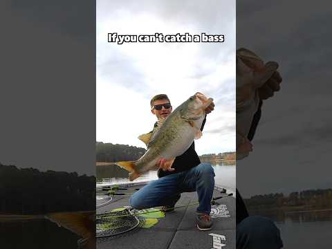 How can I catch a 30-pound bass?
