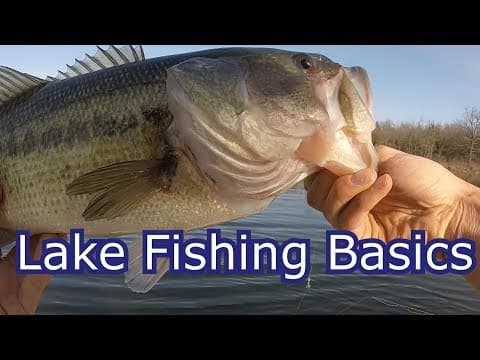 What is the best fish to catch in Lake Ontario and is it safe?