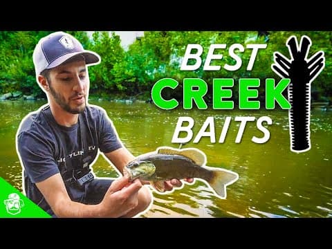 What are the best baits for creek bass fishing?