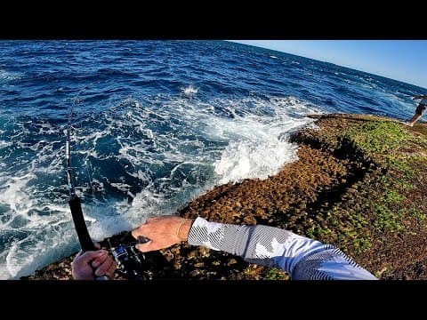 Where are good spots to catch bonito in Sydney?