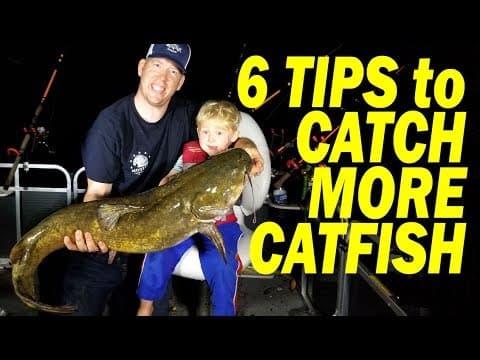 What are some effective techniques for catching catfish?