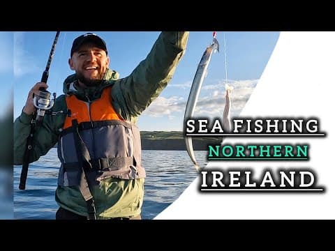 Where can I find dogfish in Northern Ireland?