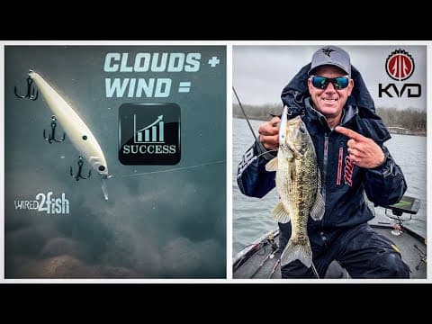 Is overcast good for rock fishing?