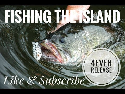 How can I catch largemouth bass in Puerto Rico?