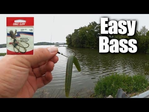 How do I do bass fishing?