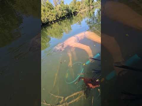 Can you show me girls fishing?