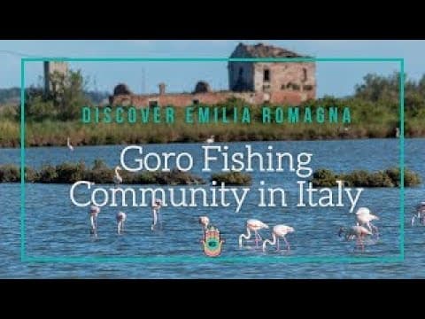 What are the best sea fishing spots in Emilia Romagna?