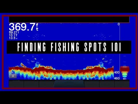 How can I find fish offshore and nearshore?