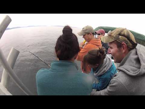 Where can I find lingcod in Prince William Sound?