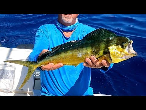 In Key Largo, Florida, when is the best time to fish for dolphin?