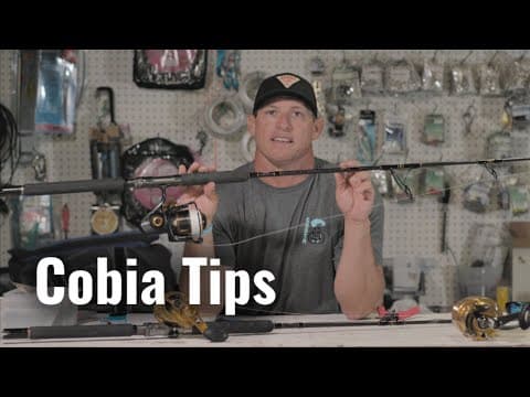 What are the best rigs for catching cobia?