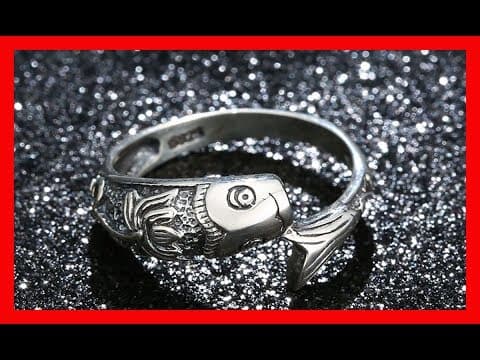 What is a fish ring in fishing?