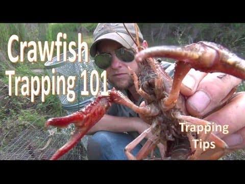 Best months to catch crawfish in the west coast?