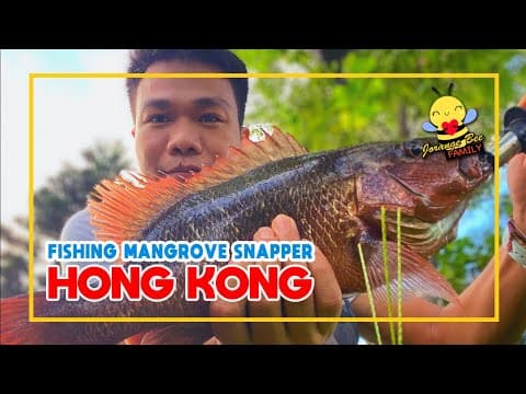 Can you link me to a video about snapper fishing in Hong Kong?
