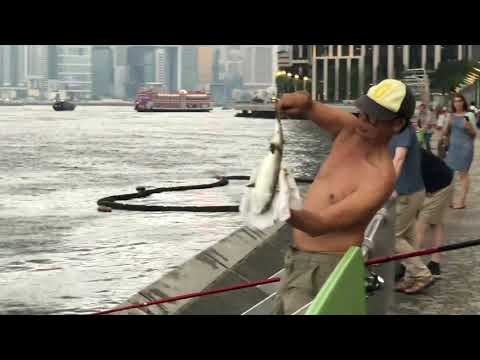 How can I catch big fish in Hong Kong reservoirs?