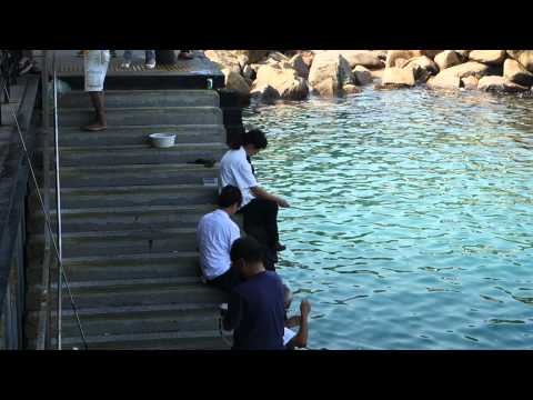 Can you give me info about fishing at Stanley Pier in Hong Kong?